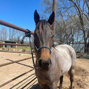 Meet your Posher, Stori